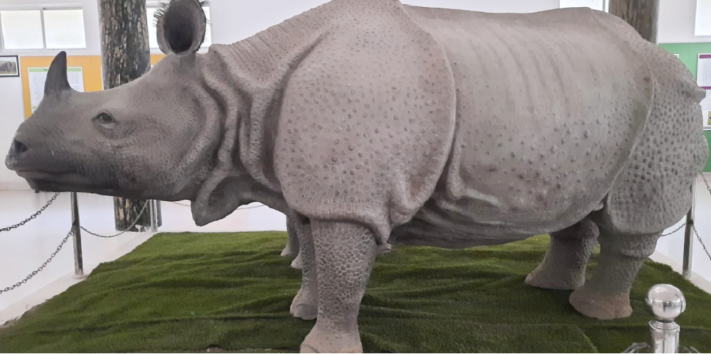 Dudhwa National Park museum